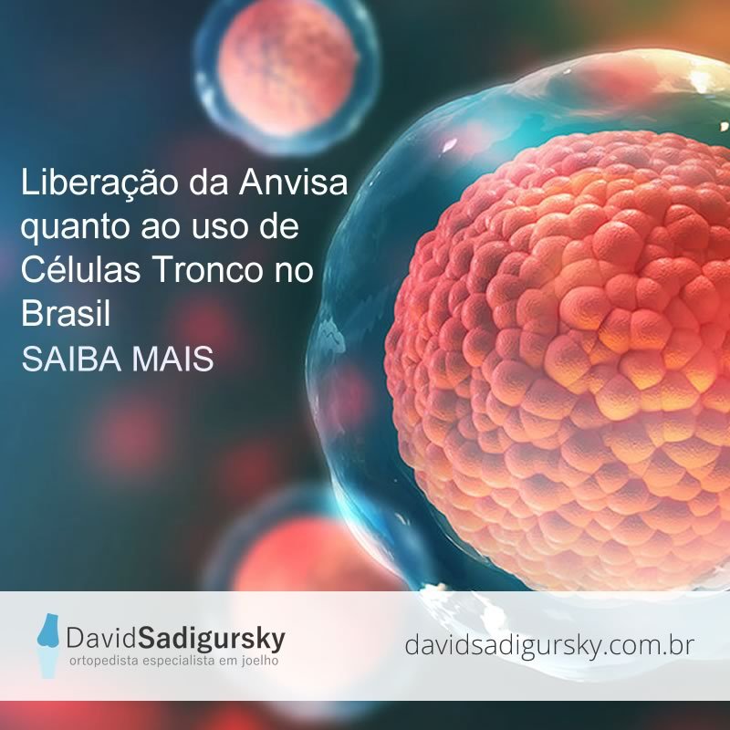 Anvisa libera uso de células tronco no Brasil